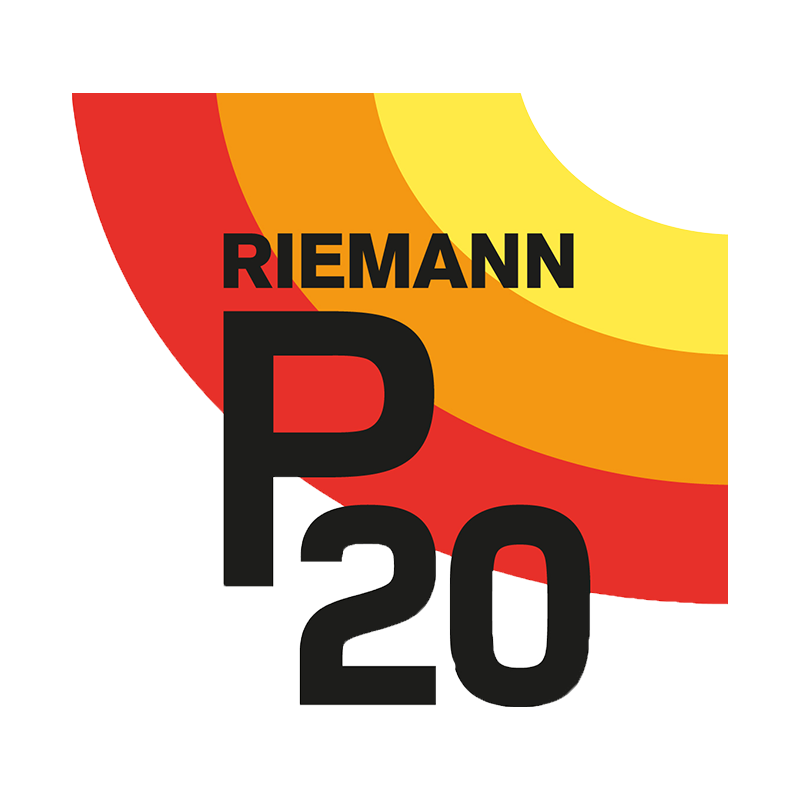 P20 logo