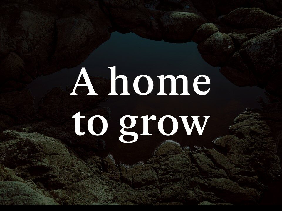 home-to-grow-aspect-ratio-4-3